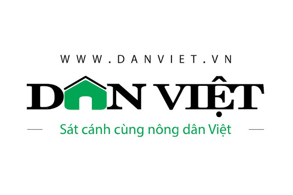 dan viet bao